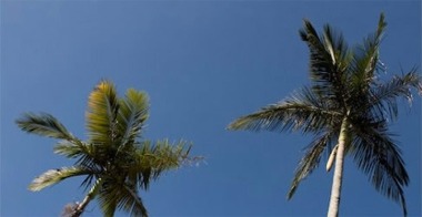 Cairnsvilla Contact