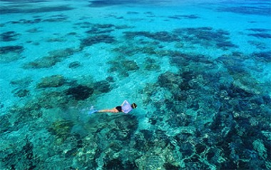 Great Barrier Reef